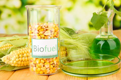 The Fall biofuel availability